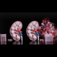 Vermindering van spoeling Bambu Lab H2C