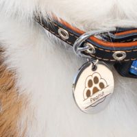 Hoge resolutie graveren en snijden op H2C Combo