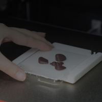 Raise3D E3 automatische kalibratie